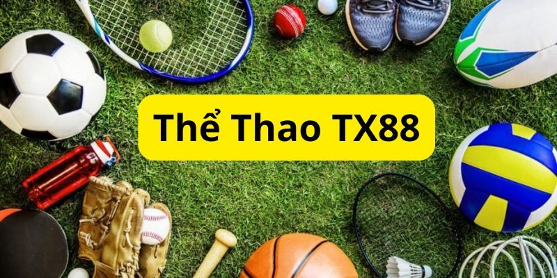 Tổng quan về sảnh thể thao TX88